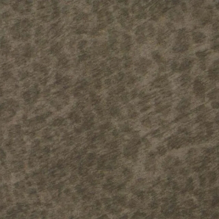 Picture of Forbo - Flotex Cleo Kitten