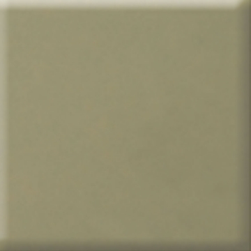 Picture of Daltile - Natural Hues 12 x 12 Birch