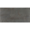 Picture of Daltile - Emergent 12 x 24 Iron