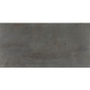 Picture of Daltile - Emergent 24 x 48 Iron
