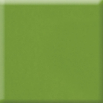 Picture of Daltile - Natural Hues 4 x 8 Fern