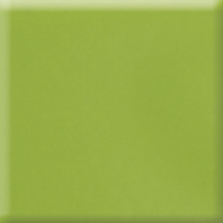 Picture of Daltile - Natural Hues 4 x 8 Kiwi