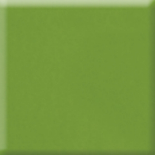 Picture of Daltile - Natural Hues 6 x 6 Fern