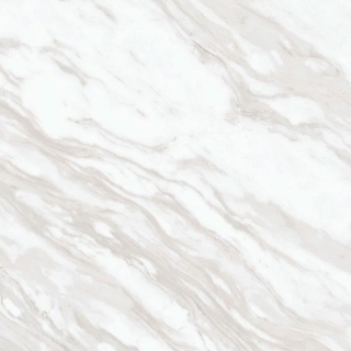 Picture of Daltile - Perpetuo 24 x 24 Matte Timeless White