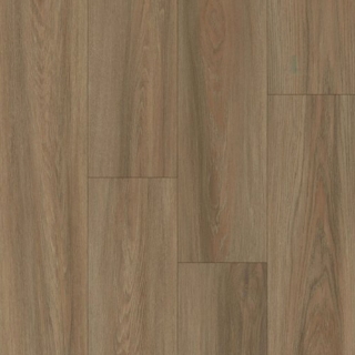 Picture of Happy Feet Intl. - Pinnacle Sussex