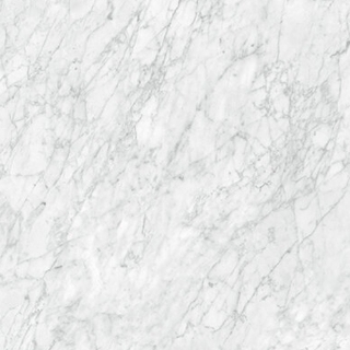 Picture of Anatolia Tile & Stone - La Marca 32 x 32 Carrara Gioia Polished