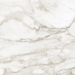 Picture of Anatolia Tile & Stone - La Marca 32 x 32 Calacatta Paonazzo Polished