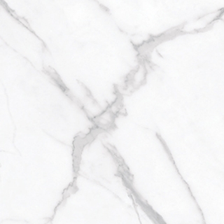 Picture of Anatolia Tile & Stone - La Marca 24 x 24 Statuario Nuovo Polished