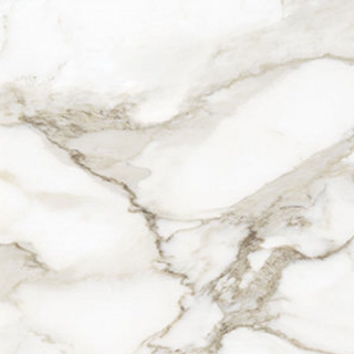 Picture of Anatolia Tile & Stone - La Marca 24 x 24 Calacatta Paonazzo Honed