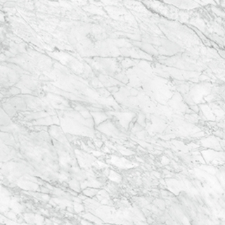 Picture of Anatolia Tile & Stone - La Marca 24 x 24 Carrara Gioia Polished
