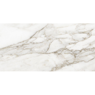 Picture of Anatolia Tile & Stone - La Marca 12 x 24 Calacatta Paonazzo Honed