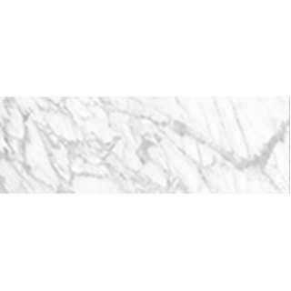 Picture of Anatolia Tile & Stone - La Marca 4 x 12 Statuarietto Honed