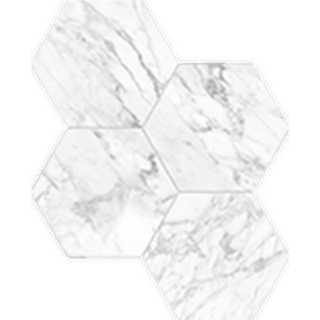 Picture of Anatolia Tile & Stone - La Marca Hexagon Mosaic 6 Statuarietto Polished