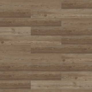 Picture of Shaw Contract - COREtec Repose Canoe