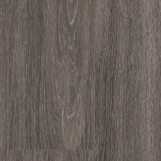 Picture of Shaw Builder - QD Expo 6 Dublin