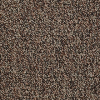 Picture of Philadelphia Commercial by Shaw - Sound Advice Plan Ahead