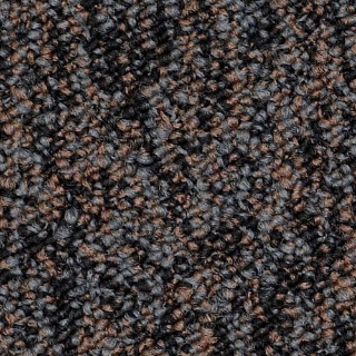 Picture of Philadelphia Commercial by Shaw - Lewis Stay Active