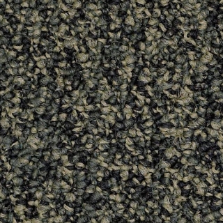 Picture of Philadelphia Commercial by Shaw - Lewis Hold The Line