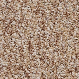 Picture of Philadelphia Commercial by Shaw - Lewis Encourage