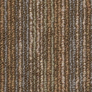 Picture of Philadelphia Commercial by Shaw - Circuit CT Energize