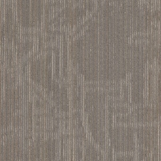 Picture of Philadelphia Commercial by Shaw - Encrypt 18 x 36 Symbols