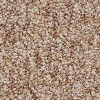 Picture of Philadelphia Commercial by Shaw - New Decade Potential