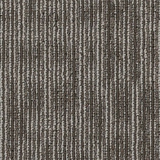 Picture of Philadelphia Commercial by Shaw - Rock Smarts