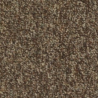 Picture of Philadelphia Commercial by Shaw - Abundance Exuberance