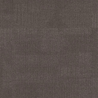 Picture of Philadelphia Commercial by Shaw - Reemerge Mature