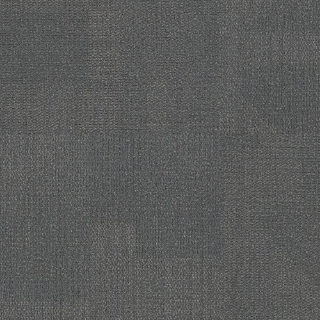 Picture of Philadelphia Commercial by Shaw - Reemerge Balance