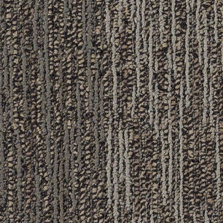 Picture of Philadelphia Commercial by Shaw - Distinguished Stand Up Comedy