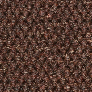 Picture of Philadelphia Commercial by Shaw - Impromtu Bark