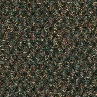 Picture of Philadelphia Commercial by Shaw - Impromtu Wintergreen