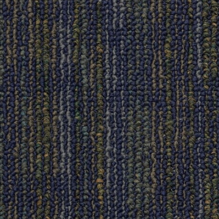 Picture of Philadelphia Commercial by Shaw - SP209 Electrify