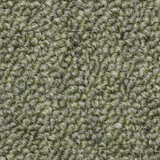 Picture of Philadelphia Commercial by Shaw - SP309 Distinguished