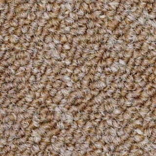 Picture of Philadelphia Commercial by Shaw - SP309 Majority