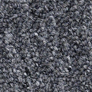 Picture of Philadelphia Commercial by Shaw - SP309 Governor