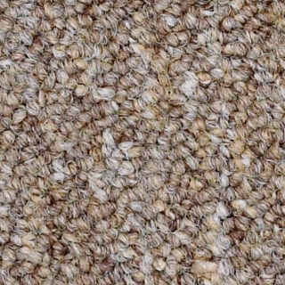 Picture of Philadelphia Commercial by Shaw - SP309 Justice