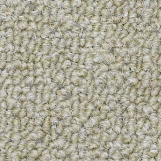 Picture of Philadelphia Commercial by Shaw - SP309 Influential