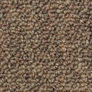 Picture of Philadelphia Commercial by Shaw - SP310 Contract