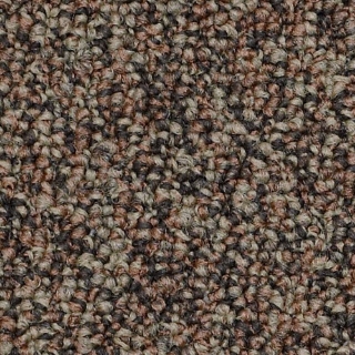 Picture of Philadelphia Commercial by Shaw - SP404 Plan Ahead