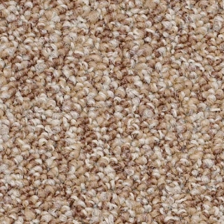 Picture of Philadelphia Commercial by Shaw - SP404 Encourage