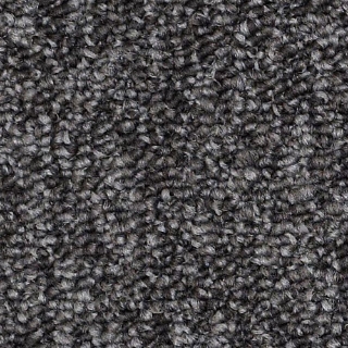 Picture of Philadelphia Commercial by Shaw - SP405 Wild Card