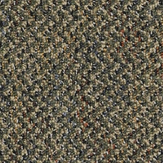 Picture of Philadelphia Commercial by Shaw - SP573 Dash