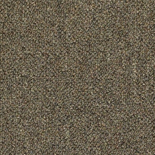 Picture of Philadelphia Commercial by Shaw - SP714 Spitting Image