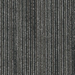 Picture of Philadelphia Commercial by Shaw - SP747 Kobra