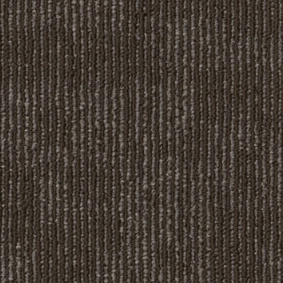 Picture of Philadelphia Commercial by Shaw - SP791 Comparison