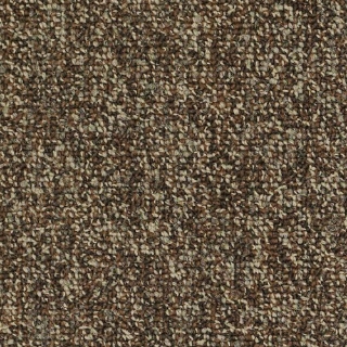 Picture of Philadelphia Commercial by Shaw - SP983 Exuberance