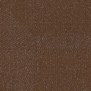 Picture of Philadelphia Commercial by Shaw - SPJ08 Create