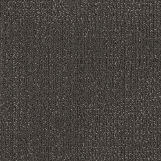 Picture of Philadelphia Commercial by Shaw - SPJ08 Develop